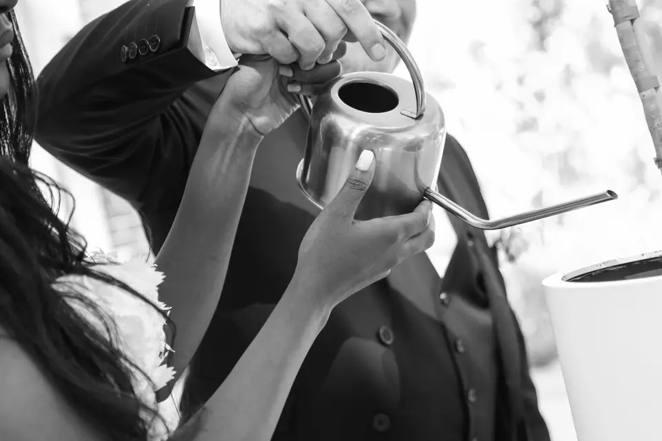 Agence Lime Events — photo 3