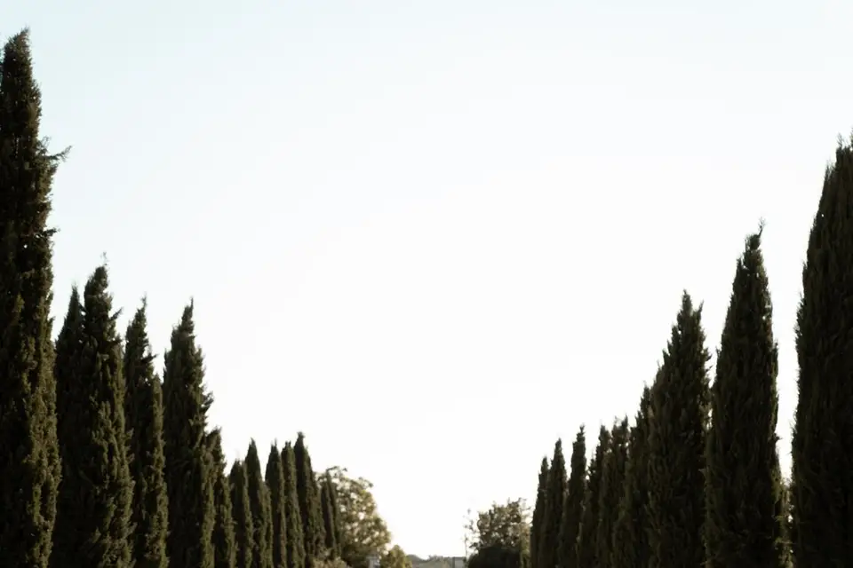 Studio Marie Trichard — photo 2