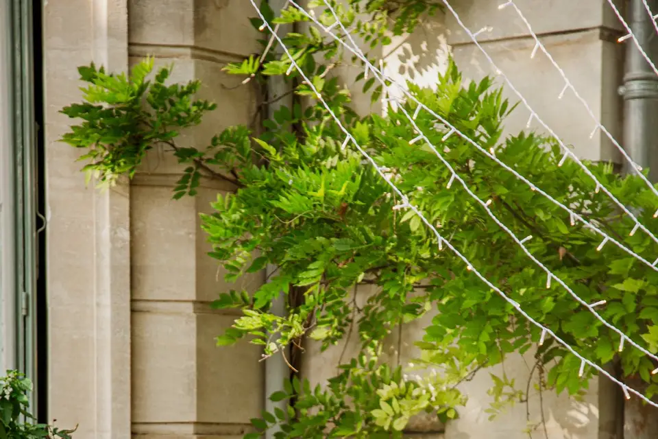 Pasta Bar by Quanto Basta — photo 2