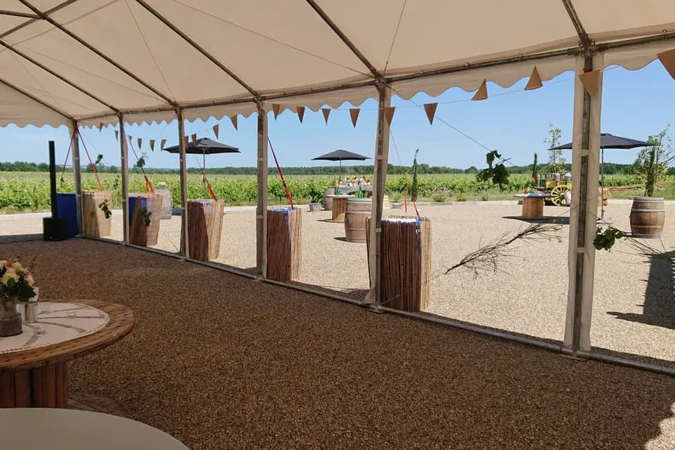 Vignoble Cassin — photo 4