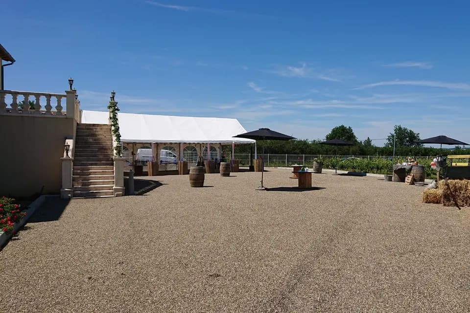 Vignoble Cassin — photo 5