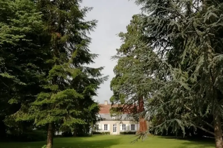 La Domaine de Cenant — photo 3