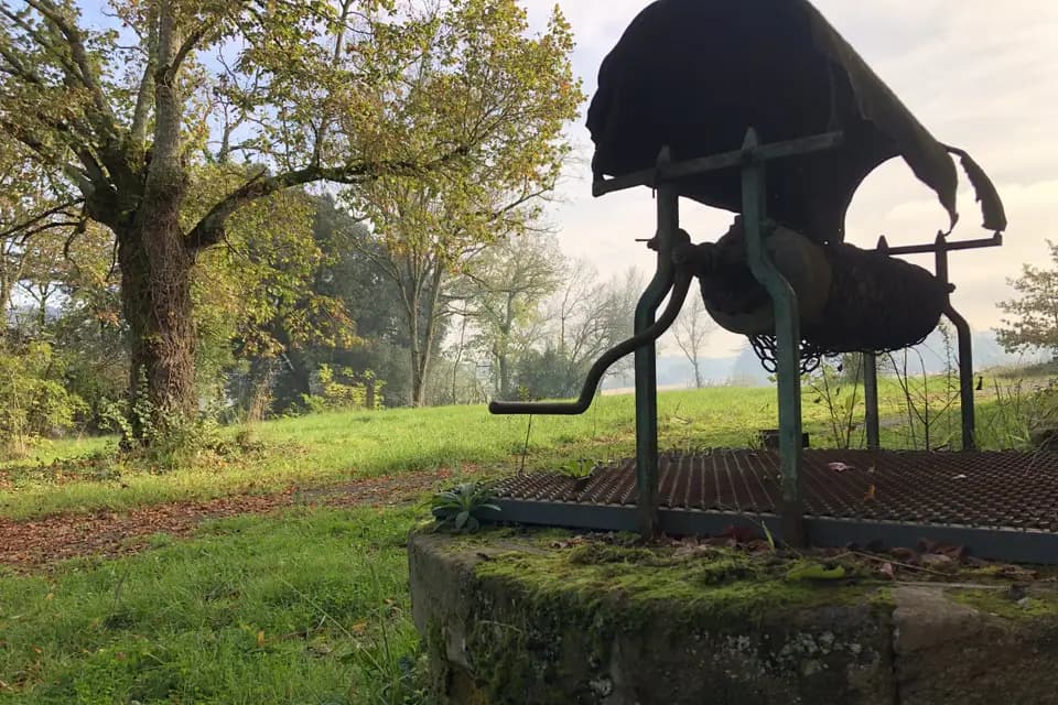 La Castagnère by L'Os y Thym — photo 6