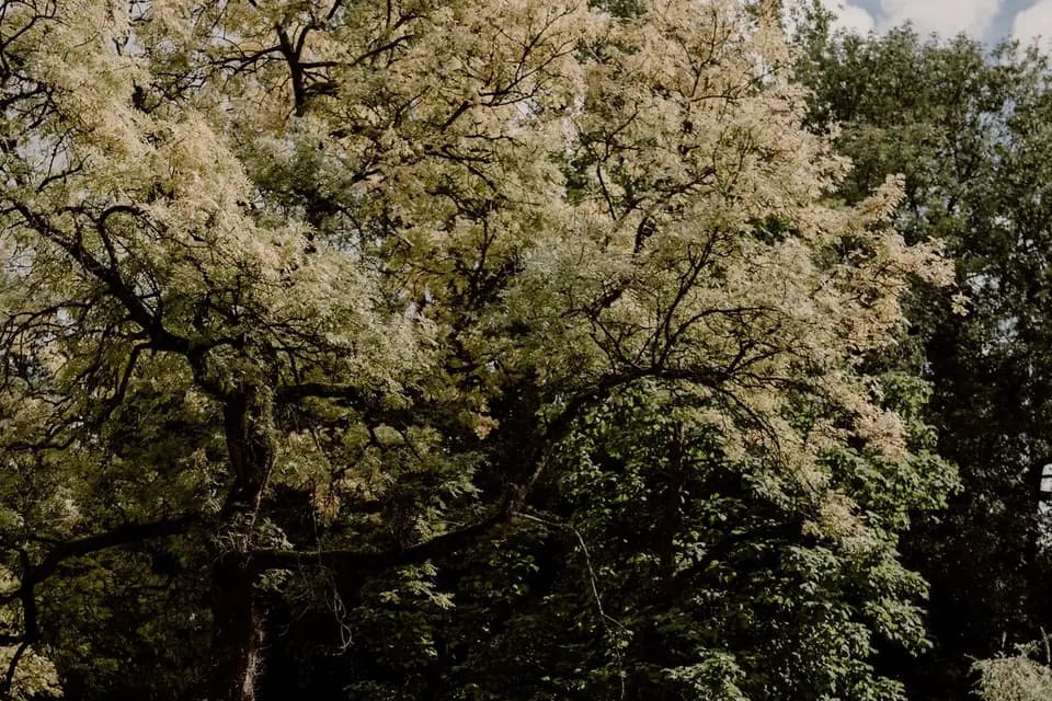 Château de Remaucourt — photo 5