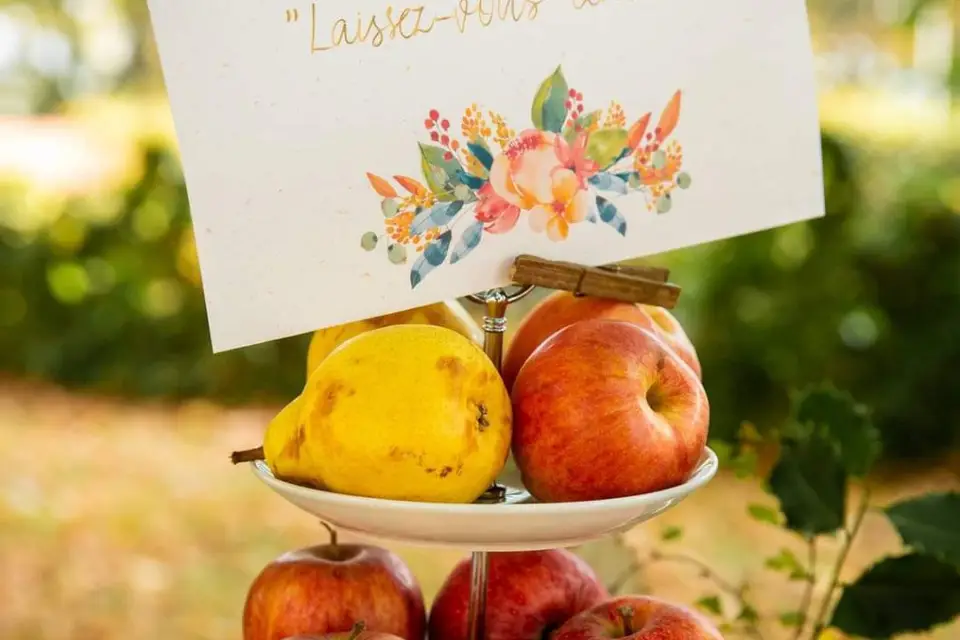 Les Frangines — photo 7