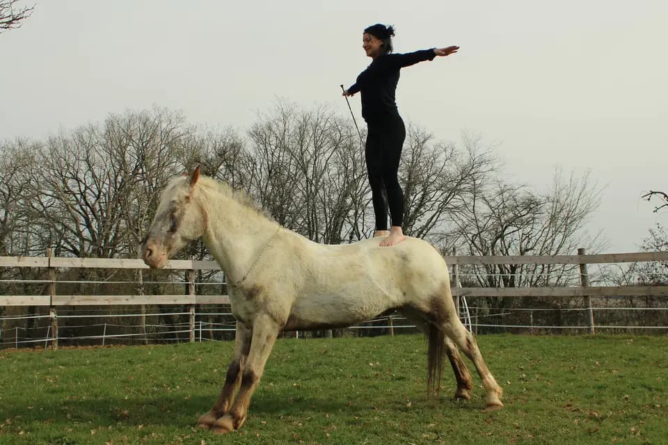 K8 Production - Spectacle équestre — photo 1