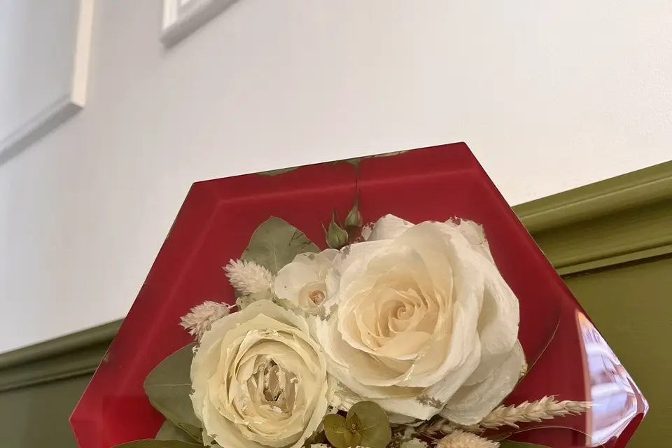 Olive et Jasmin — photo 8