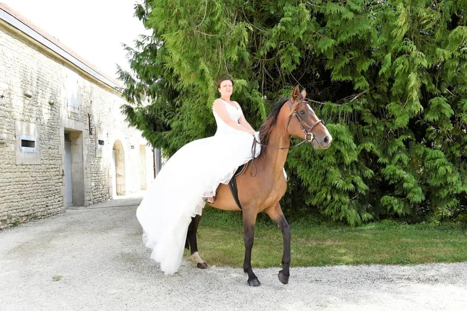 M le Domaine — photo 6