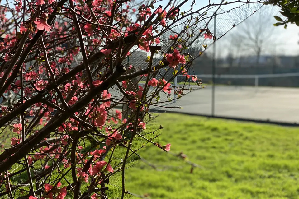 M le Domaine — photo 1