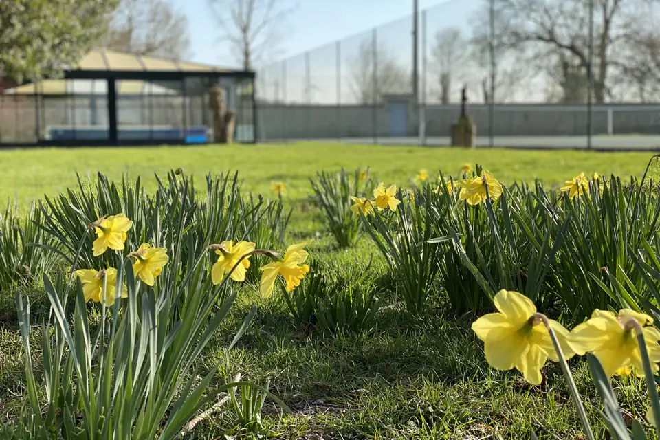 M le Domaine — photo 2