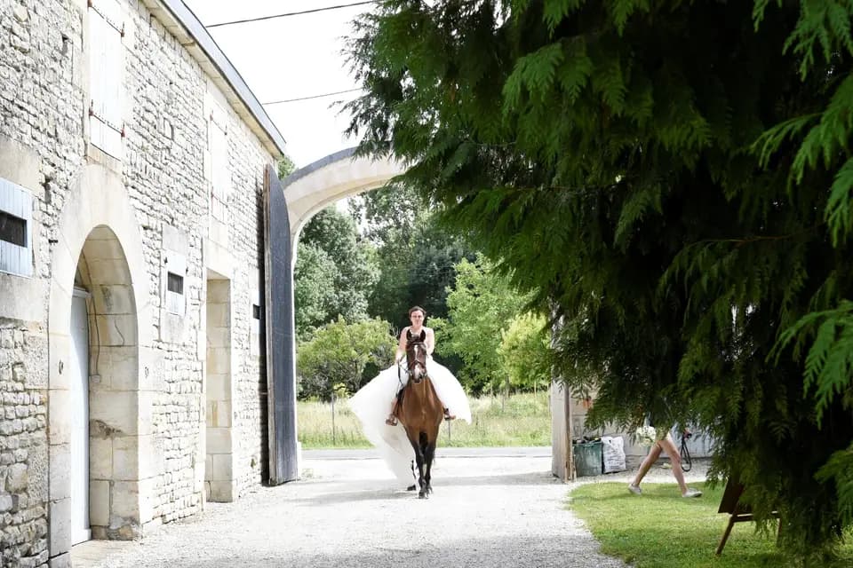 M le Domaine — photo 7