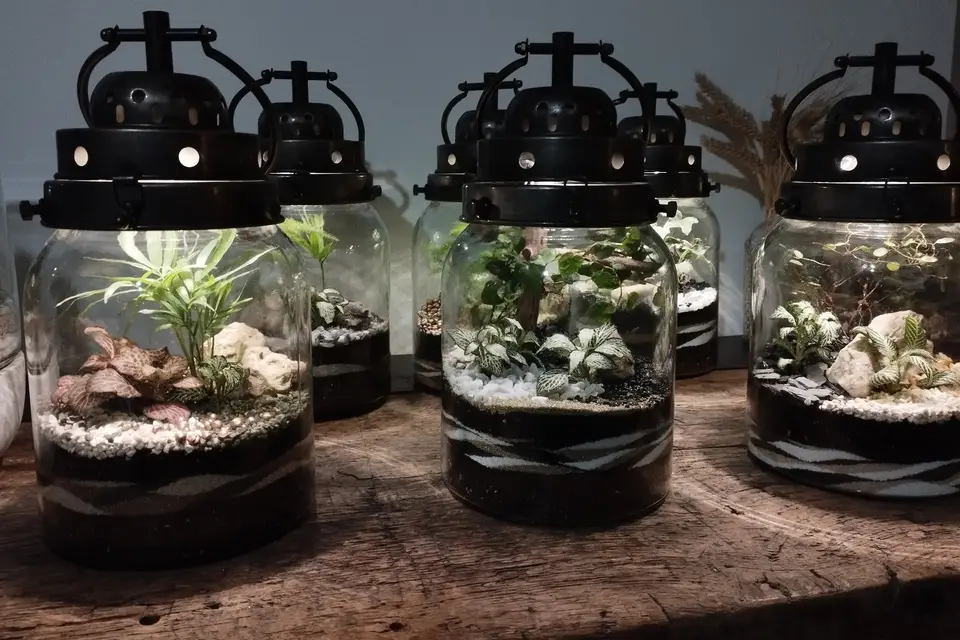 Naturaë — photo 5