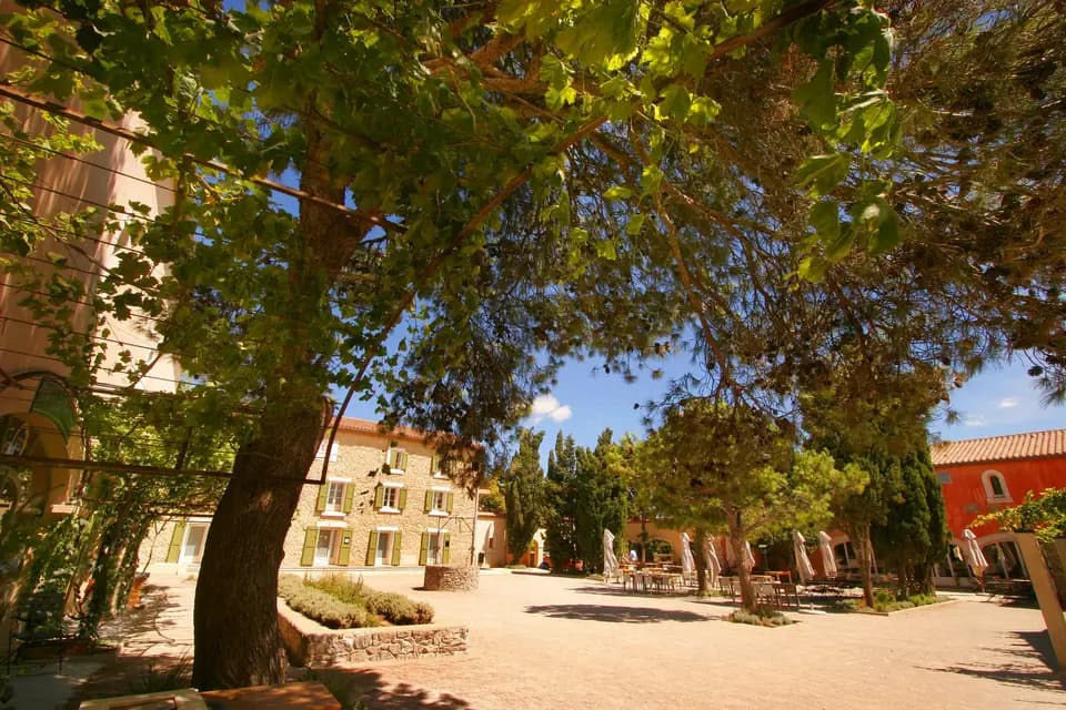 Château l'Hospitalet — photo 3