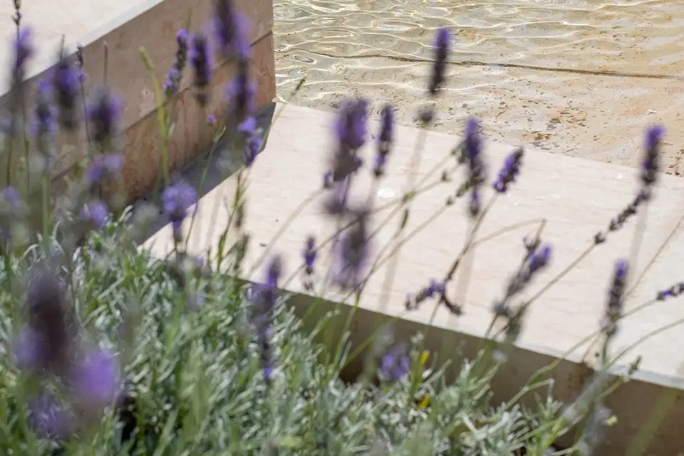 Château l'Hospitalet — photo 4