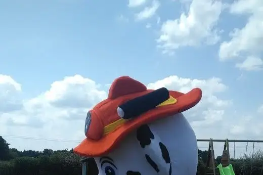 Association For Anim Kids — photo 2