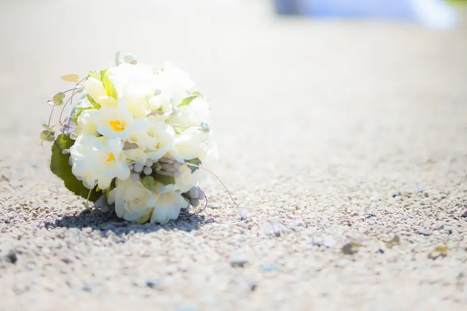 Jp Concept — photo 6