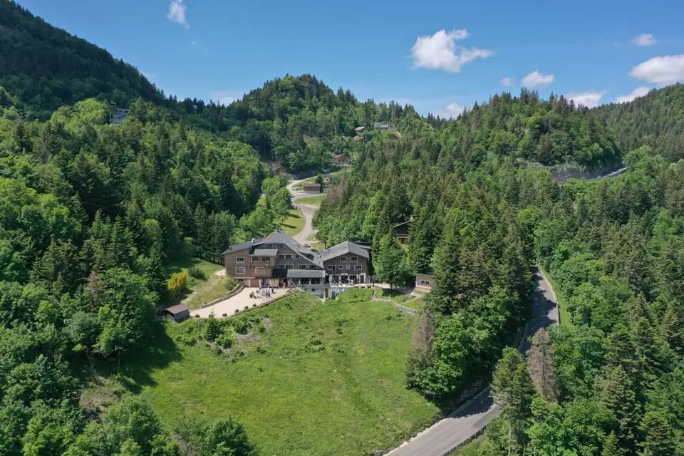 Royal Drone — photo 3