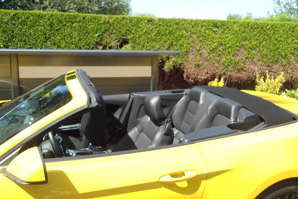 American Dream — photo 2