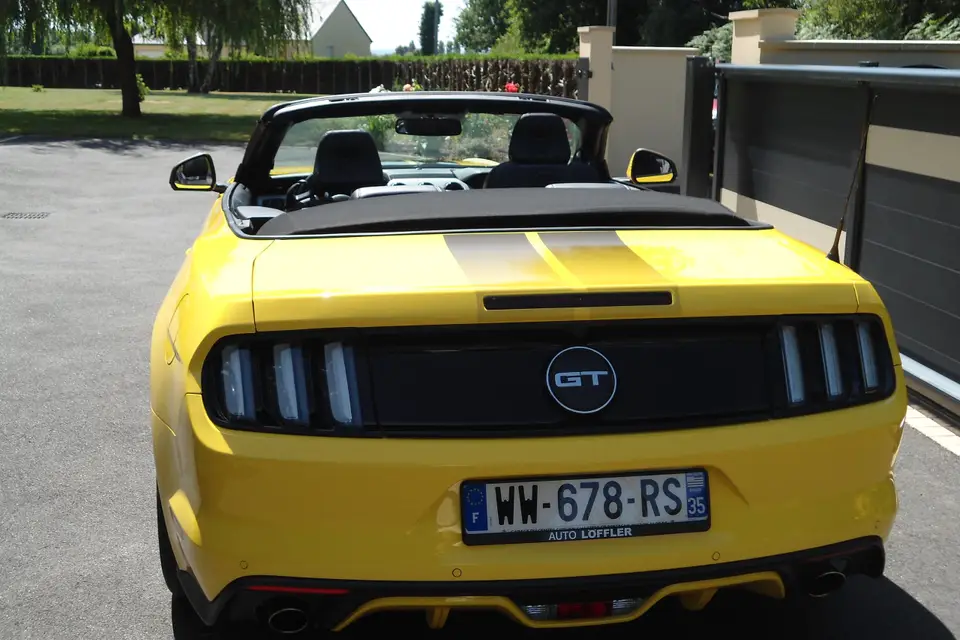 American Dream — photo 3