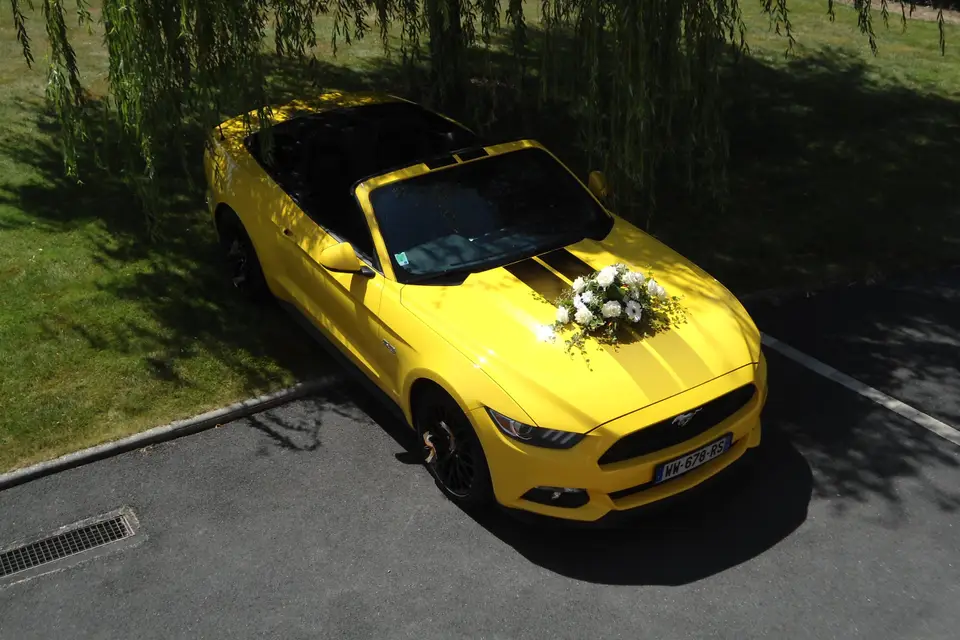 American Dream — photo 4