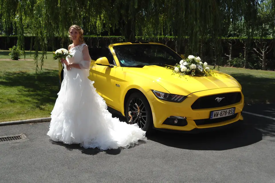 American Dream — photo 5