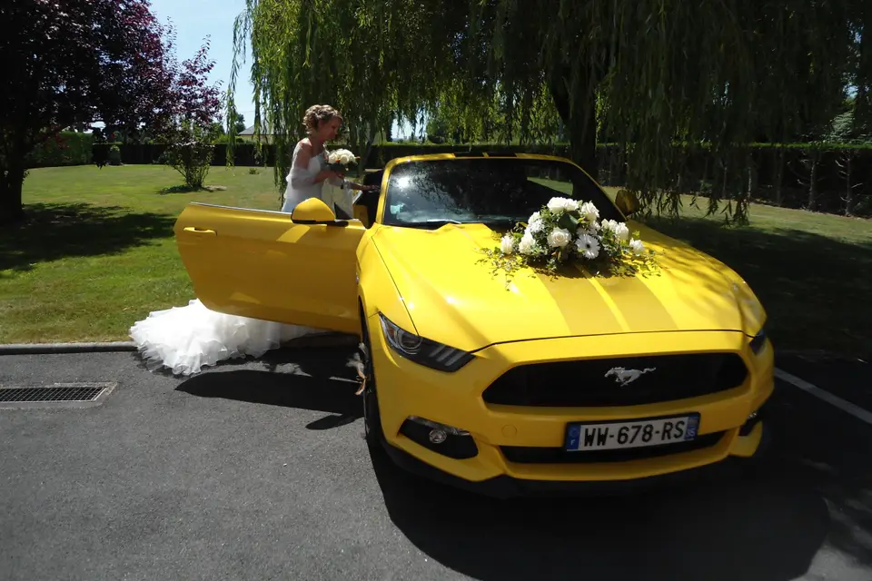 American Dream — photo 6