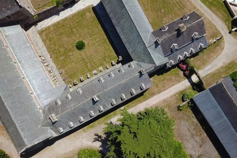 Royal Drone — photo 5