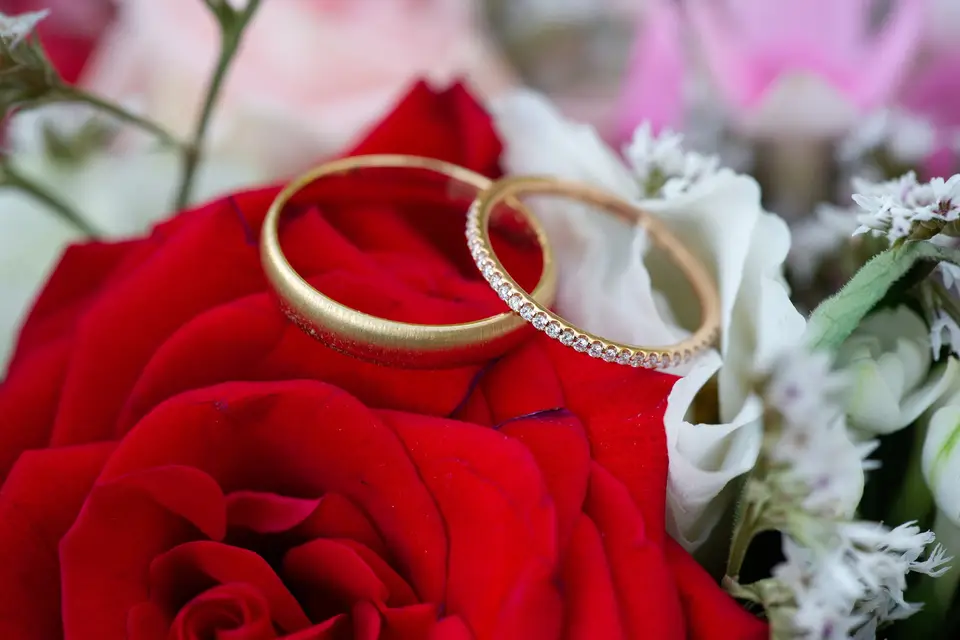 Coquelet Kévin Photographie — photo 5