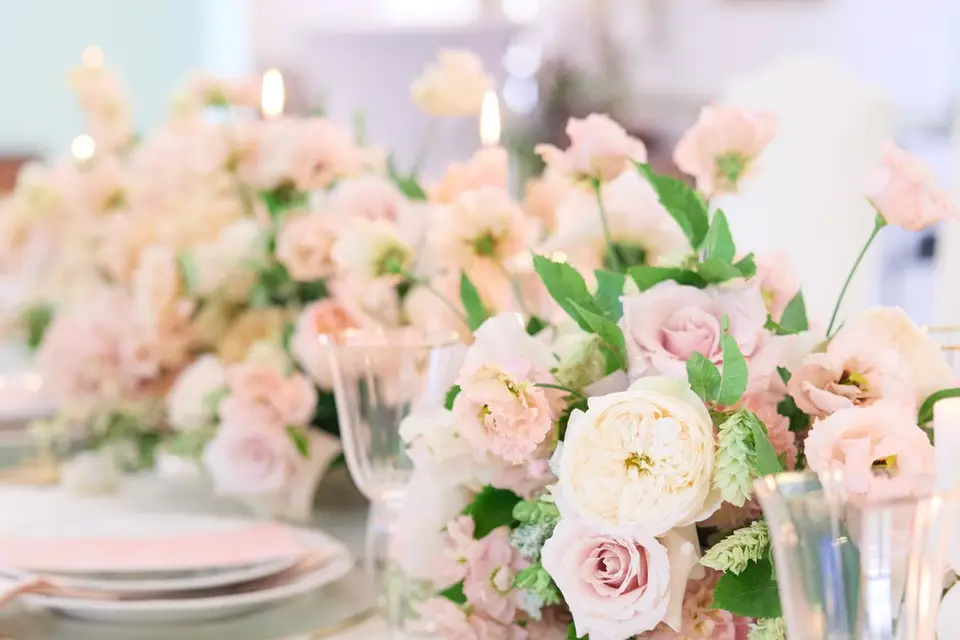 Heley Events — photo 2