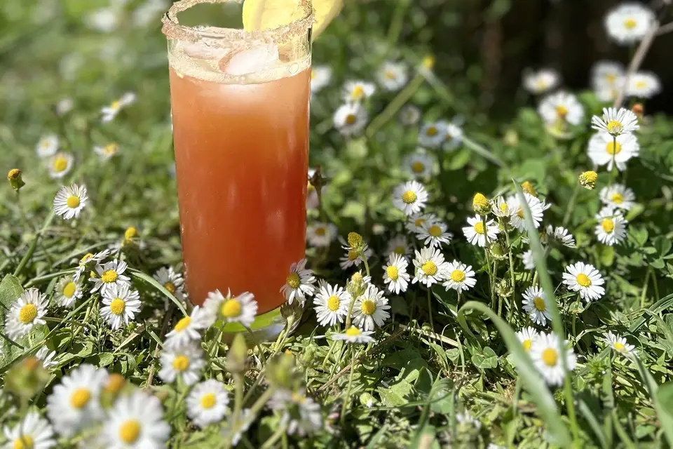 DC Barman — photo 2