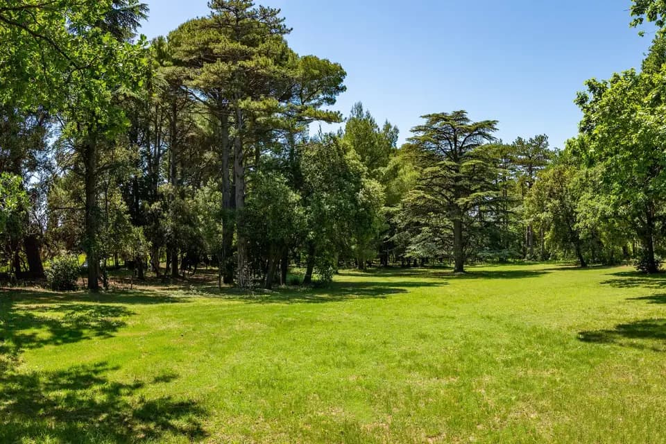 Château Juvenal — photo 3