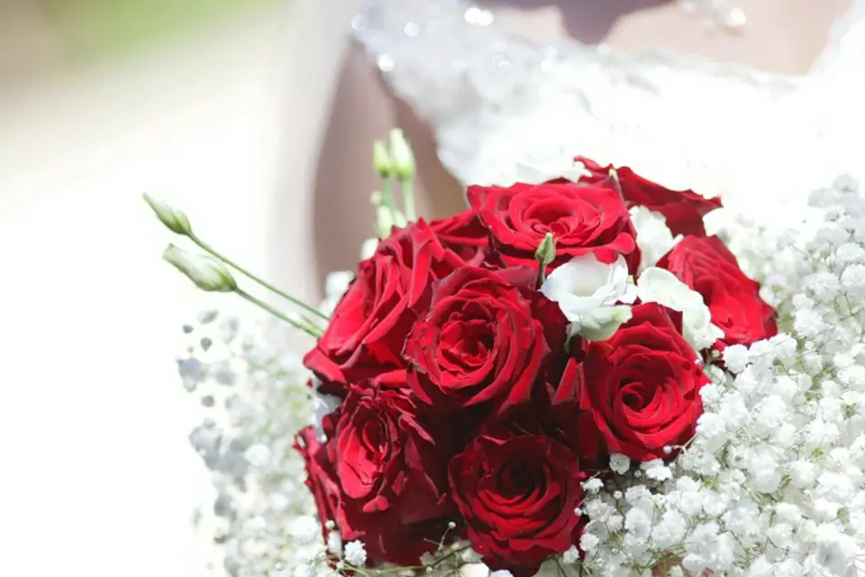 IVertige — photo 8