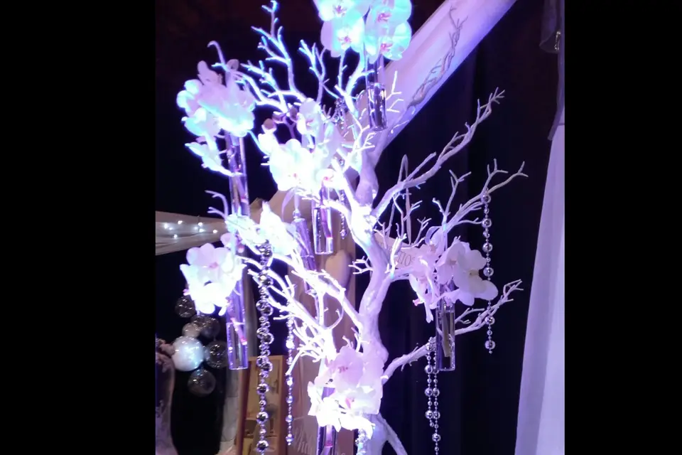 IVertige — photo 7