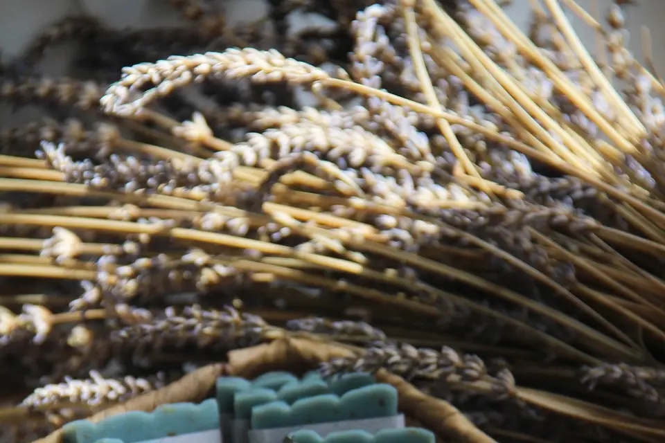 M&M Jour J — photo 4