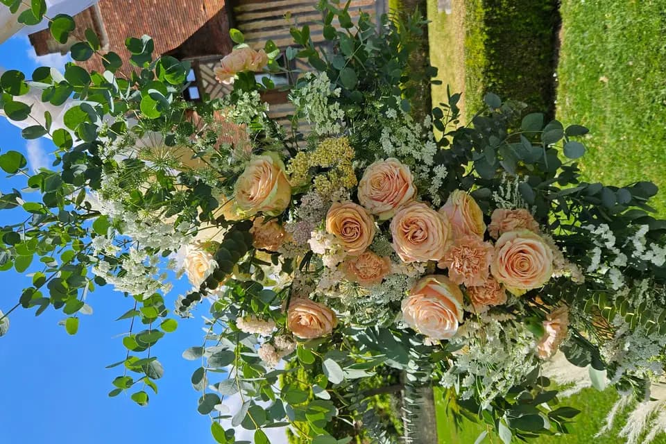 Fleurs de la Clarté — photo 1