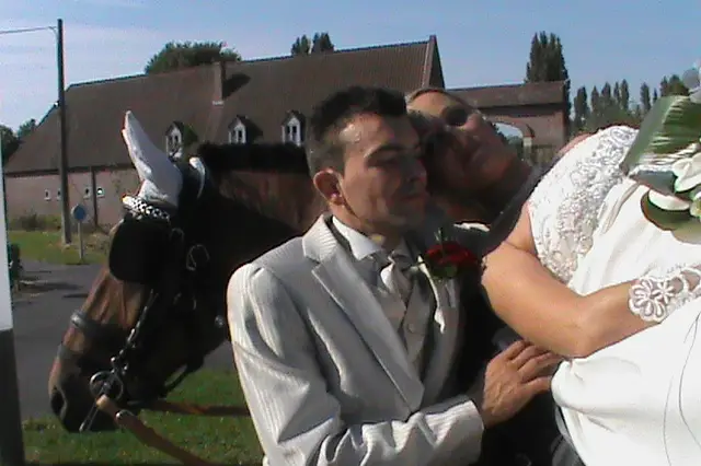 Attelage des Franche-Montagne — photo 3