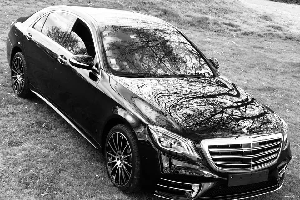 Merville Occitanie — photo 5