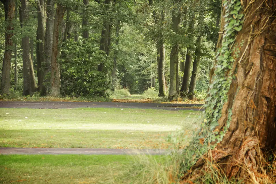 Le Manoir d'Elise — photo 6