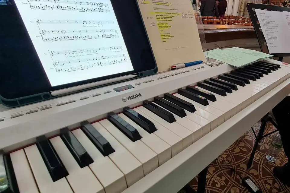 Velvet Carousel — photo 8