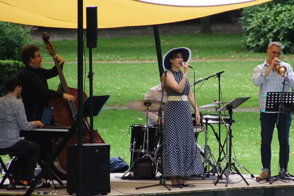 Velvet Carousel — photo 4