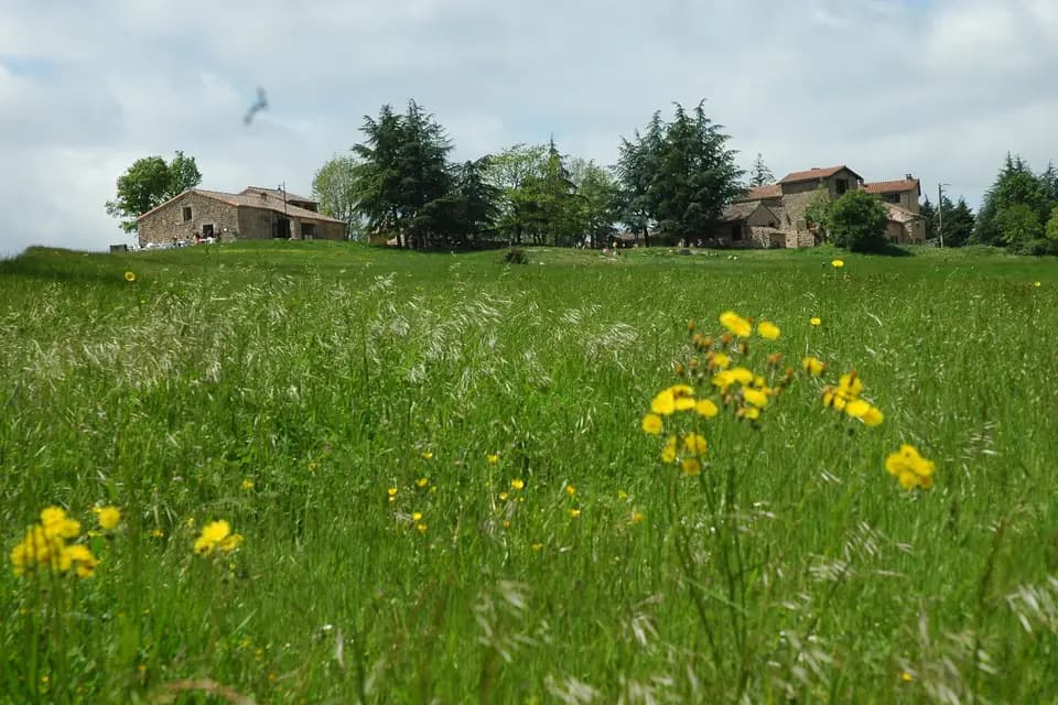 Altia Club Aladin — photo 2