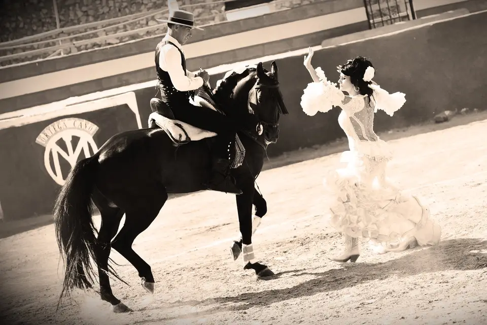 Jérémie Malfitano Films — photo 1