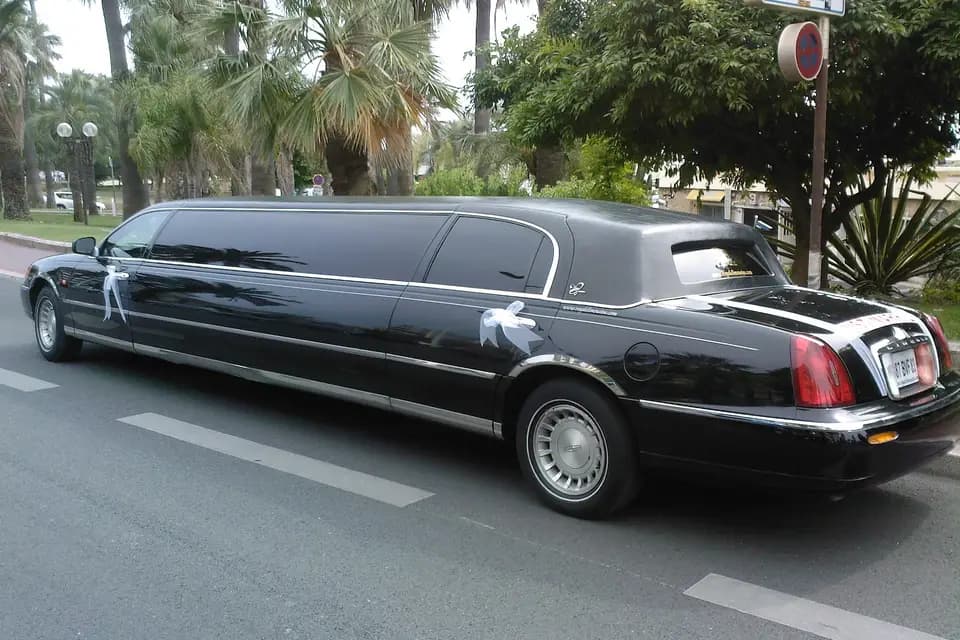 Royale Limousine — photo 6