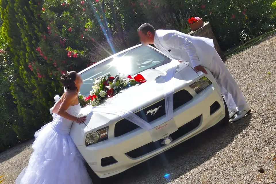 Latin Dance Shows — photo 1