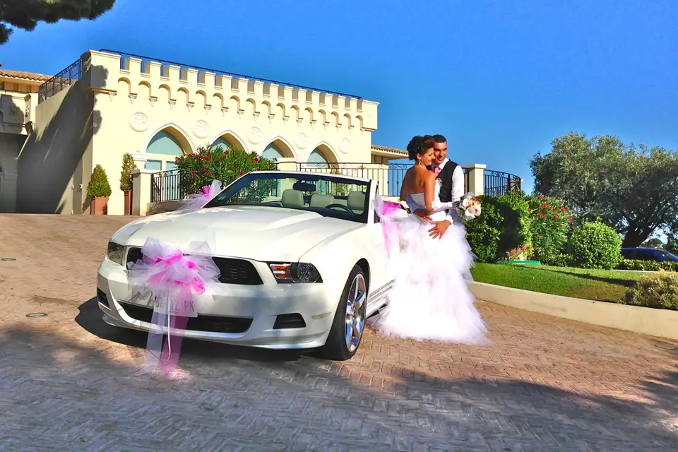 Latin Dance Shows — photo 2