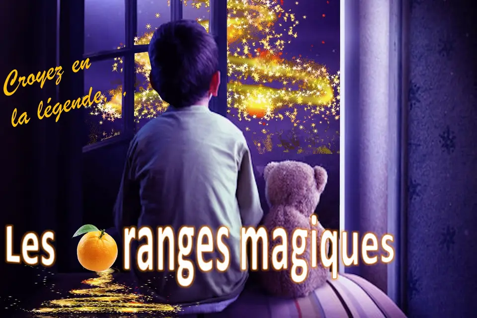 Spectacle Animation Show — photo 6