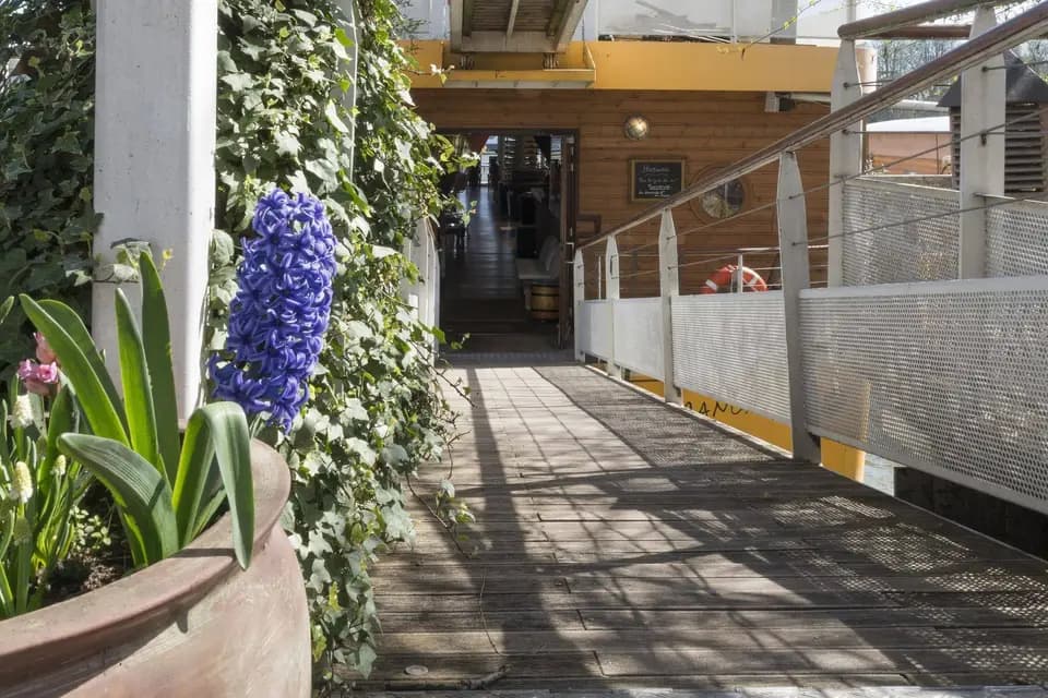 Mangareva — photo 2