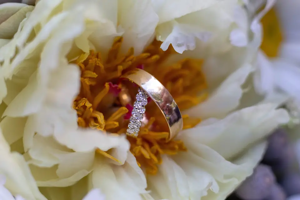 Instants de Vie photographie — photo 6