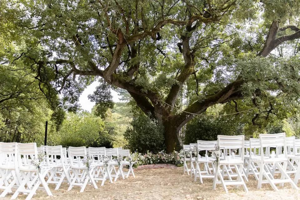 Les Hauts de Manse — photo 2