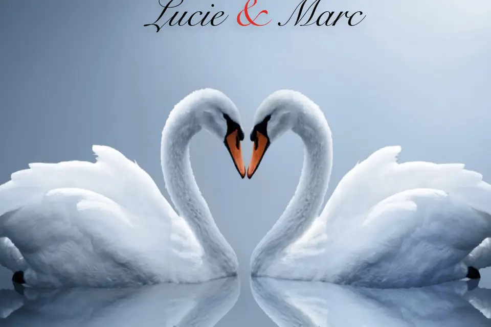 Papeterie du Muy — photo 4